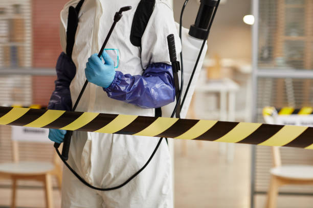 Professional Biohazard Cleanup technician working in Essex, MD